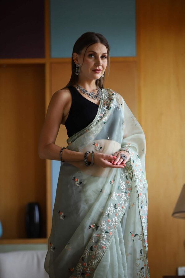 Light gray organza saree (embroidery work)