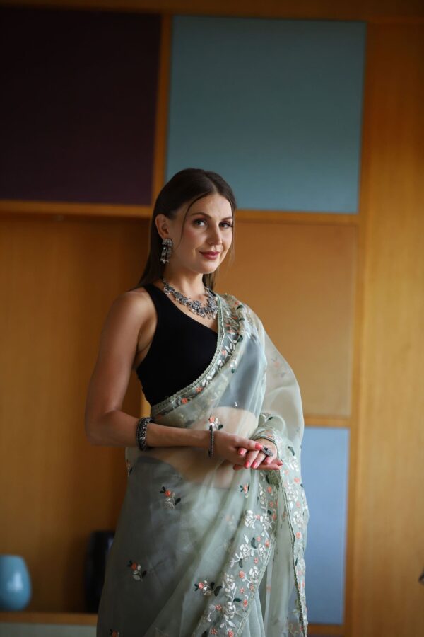 Light gray organza saree (embroidery work)