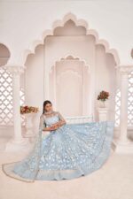 light sky butterfly net lehenga choli set (3)