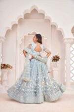 light sky butterfly net lehenga choli set (4)