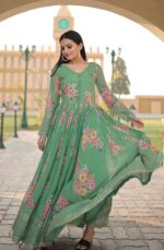 Pista Green Embroidery Work Gown (3)