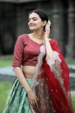 Bottle and red color onam special lehenga choli (4)