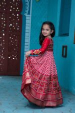 Red Pashmina Silk with Patola Designer Foil Print Work gown for girls (2)