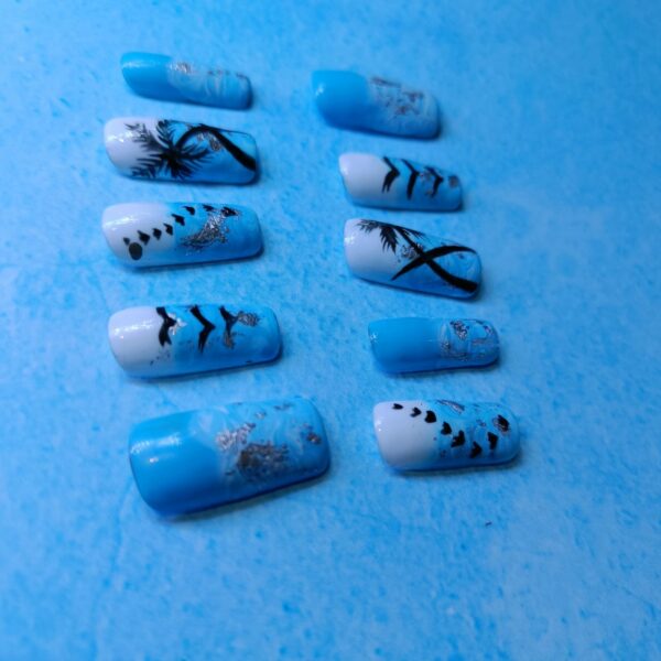 Goa special natural painted ready to wear press on nails