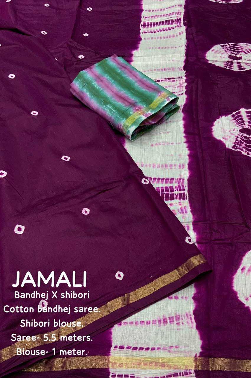 Purple saree with hand block print work and muticolor blouse