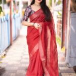 reddish linen and sequence saree with printed blouse