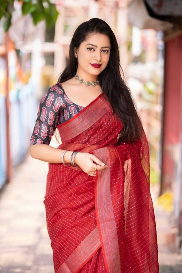 reddish linen and sequence saree with printed blouse