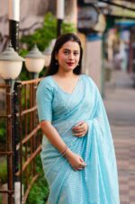 Sky-Blue-Silver-Zari-Chiffon-Saree-with-Gota-Patches (2)