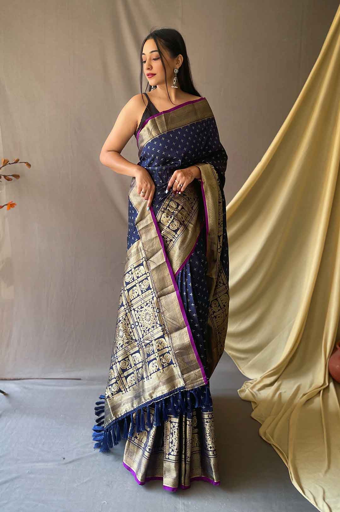 Navy Blue Silk Saree with Silver and Gold Zari Checks and Broad Zari Border