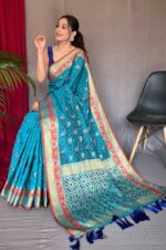 Rama-Sky-Pure-Kachii-Patola-Silk-Saree-with-Patola-Weaving-and-Meenakari-Border