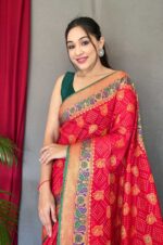 red-Pure-Kachii-Patola-Silk-Saree-with-Patola-Weaving-and-Meenakari-Border