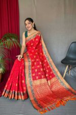 red-Pure-Kachii-Patola-Silk-Saree-with-Patola-Weaving-and-Meenakari-Border-2