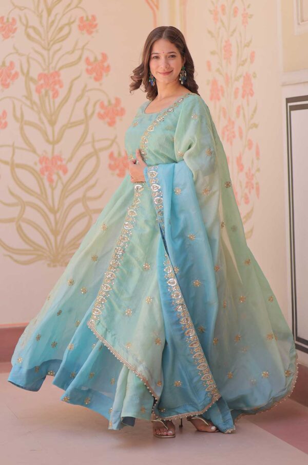 Dreamy Sky Blue Pedding Gold Organza Gown Set – 8 Meter Flair Beauty