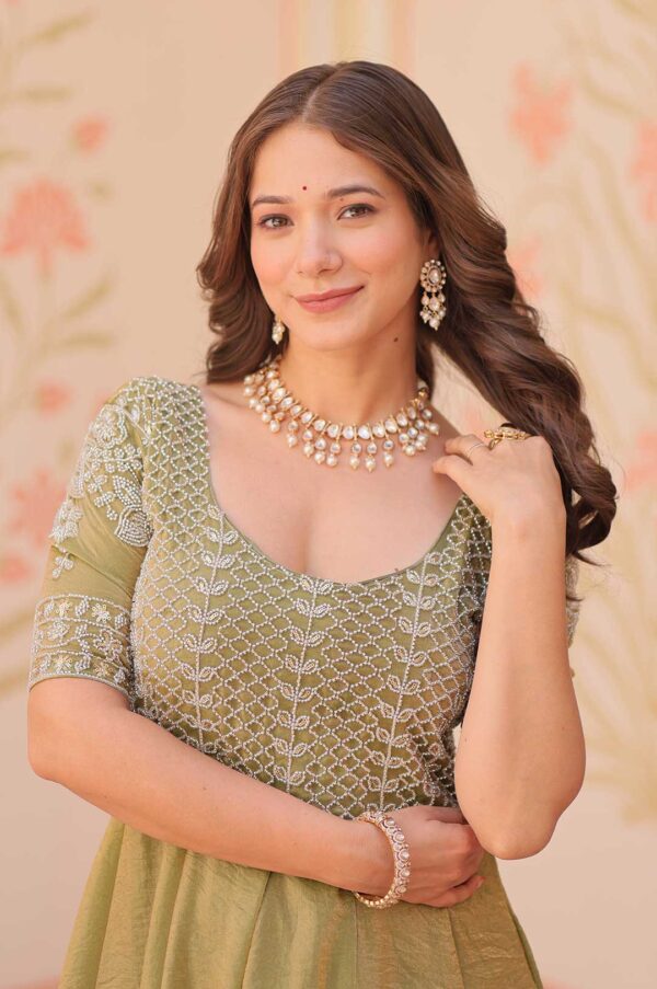 Pista Gown with Sequins and Thread Embroidered Yoke - Round Neck