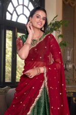 Green-Kanchipuram-Silk-Lehenga-Choli-with-Red-Dupatta-4